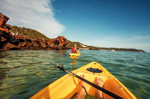 Kayakers paddling gently down the Brisbane River