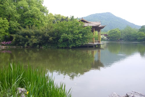 Lake at Xixi National Wetland Park