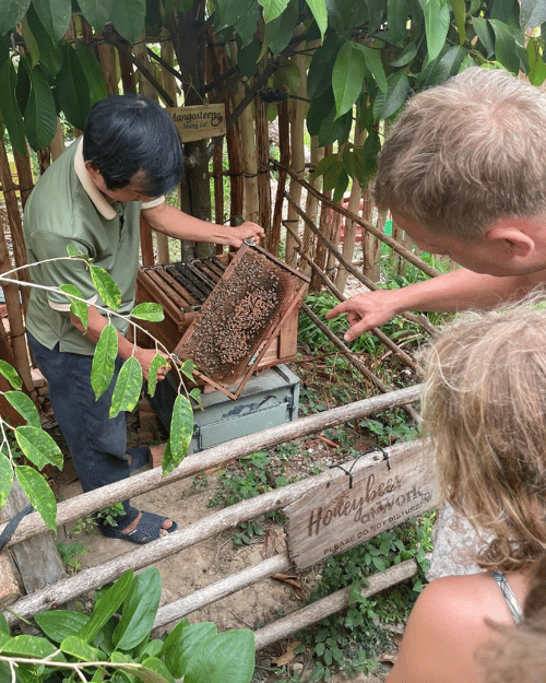 Learning about beekeeping and honey production at a bee farm in Phu Quoc.