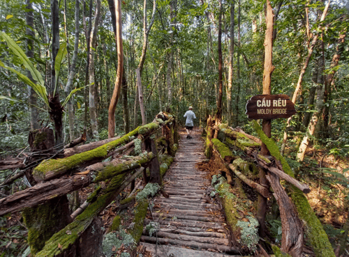 Lush greenery and diverse wildlife in Phu Quoc National Park.