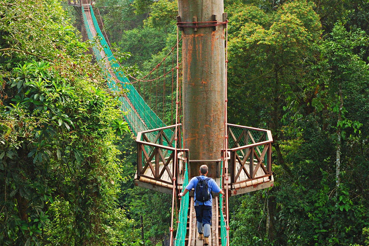Man walking in the Danum Valley Conservation Area, a tourist attraction in Sabah