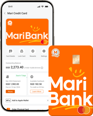 Mari Credit Card 1