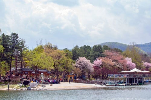 Nami Island in South Korea