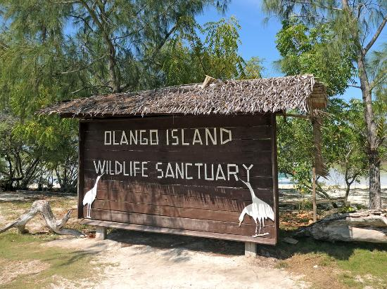 Olango Wildlife Sanctuary in Olango Island Cebu