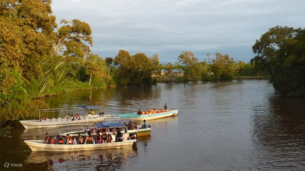 Participants of Santubong Wildlife Cruise cruising along the river in search of wildlife