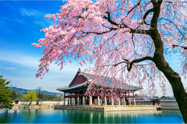 best places to travel alone - south korea