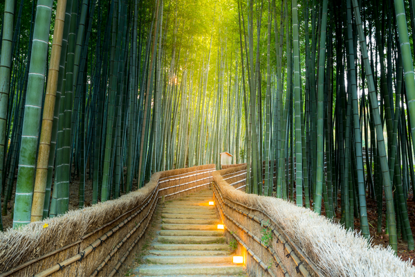 japan travel tips - arashiyama