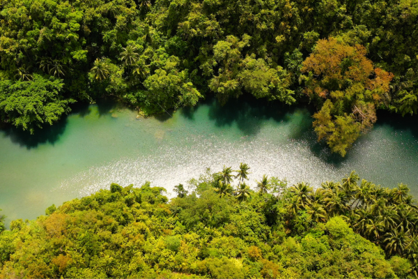 bohol travel guide - loboc river