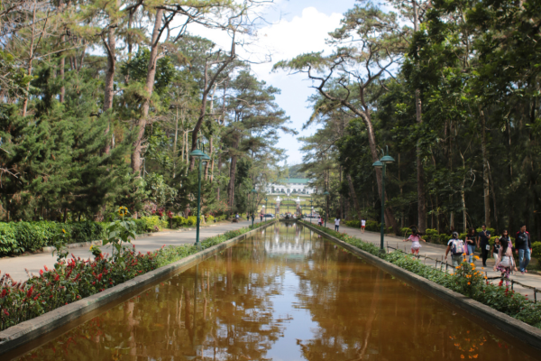 baguio travel guide - wright park