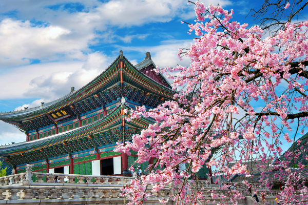 best family holiday destinations in the world - south korea