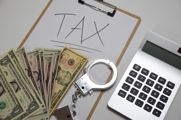 tax evasion - fines and imprisonment
