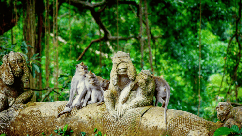 Sacred Monkey Forest Sanctuary, a main attraction in Ubud