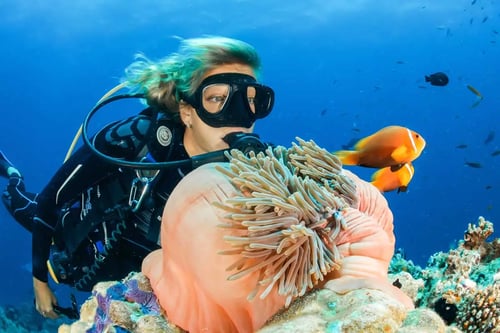 Scuba Diving at Samae San Island, one of the things to do in Pattaya