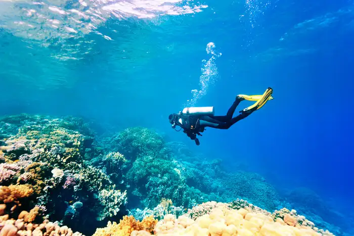 Scuba dive off the coast of Sihanoukville for an unforgettable underwater adventure