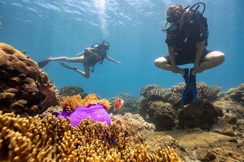 Scuba diving in Cham Island