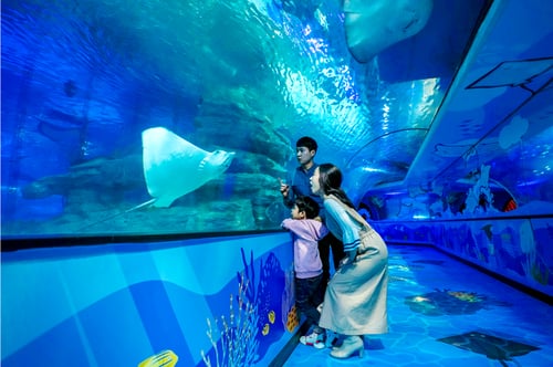 Sea Life Busan Aquarium, a popular attraction in Busan