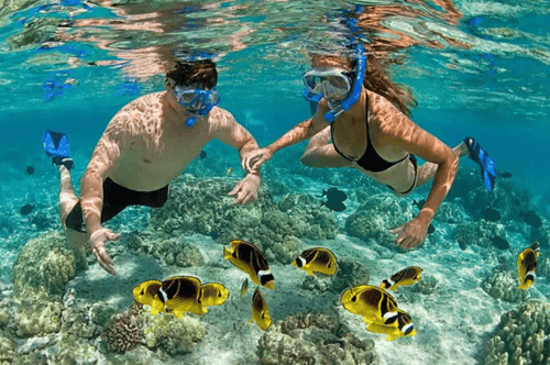 Snorkelers marvelling at the colourful marine life while snorkelling at Hon Thom Island, must-do in Phu Quoc.