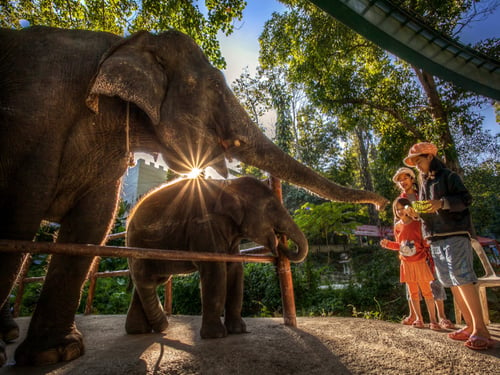 Songkhla Zoo, a tourist attraction in Hat Yai