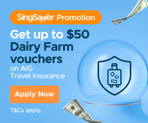 TRAVELINSURANCE_AIG_INBLOGARTICLE