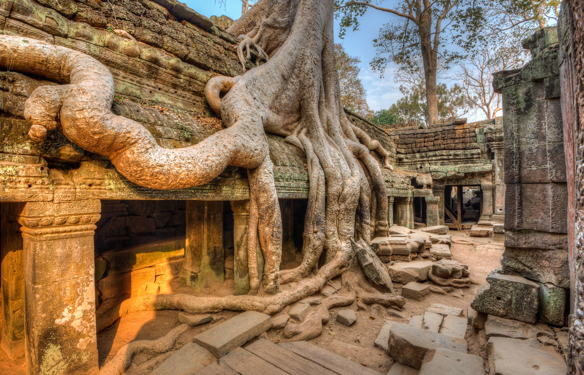 Ta Prohm features overgrown trees and roots intertwining with the temple ruins