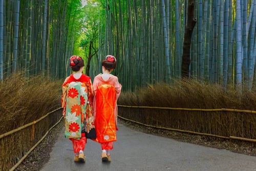 The Arashiyama Bamboo Grove offers a serene and otherworldly experience