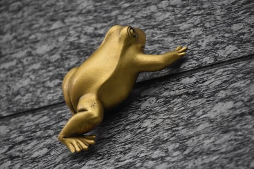 The Golden Frog of Hakata Station is a quirky and hidden gem known for bringing good luck