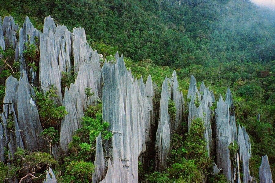 The Mulu Pinnacles, a top attraction of Gunung Mulu National Park