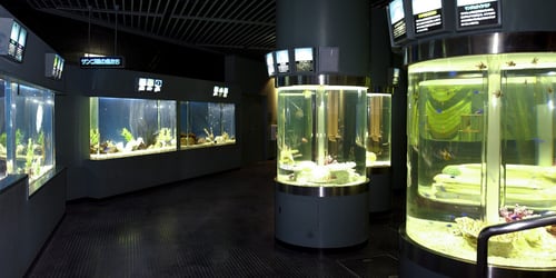 The aquarium exhibits at Sunpiazza Aquarium