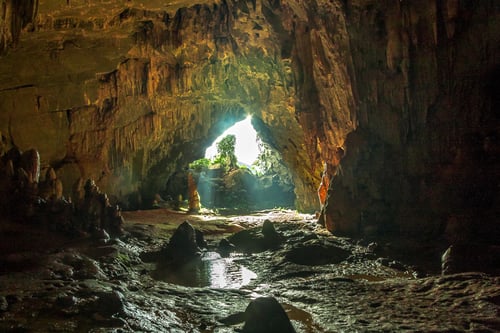 The mystical entrance of Phong Nha cave surrounded by rich forest and a tranquil river.