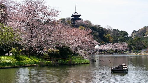 The scenic Sankeien Gardens featuring a lake and picturesque landscapes