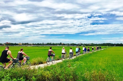 Tourists on a cycling tour in Hoi An 