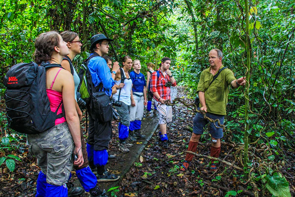 Tourists trekking in the Danum Valley, a famous attraction in Sabah