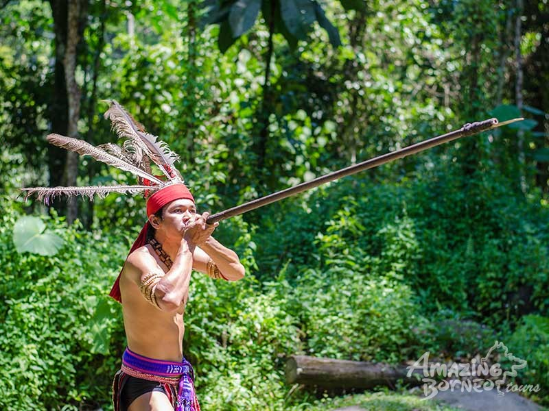 Traditional blowpipe hunting being performed at the Mari Mari Cultural Village in Sabah