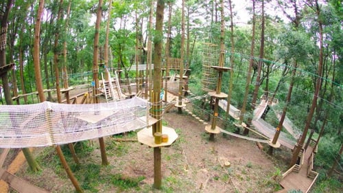 Treetop Obstacle Course at Forest Adventure Yokohama