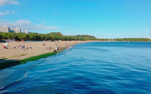 Umi no Koen marine park with visitors enjoying the beach and lagoon