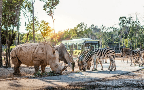 Vinpearl Safari, a top Phu Quoc attraction and home to a variety of exotic animals.