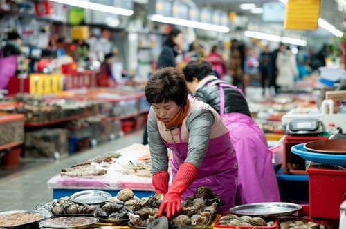 Visit Jagalchi Fish Market, one of the things to do in Busan