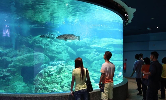 Visitors at the Aquarium & Marine Museum, a tourist attraction in Sabah
