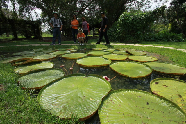 Visitors at the Sabah Agriculture Park, a popular tourist attraction