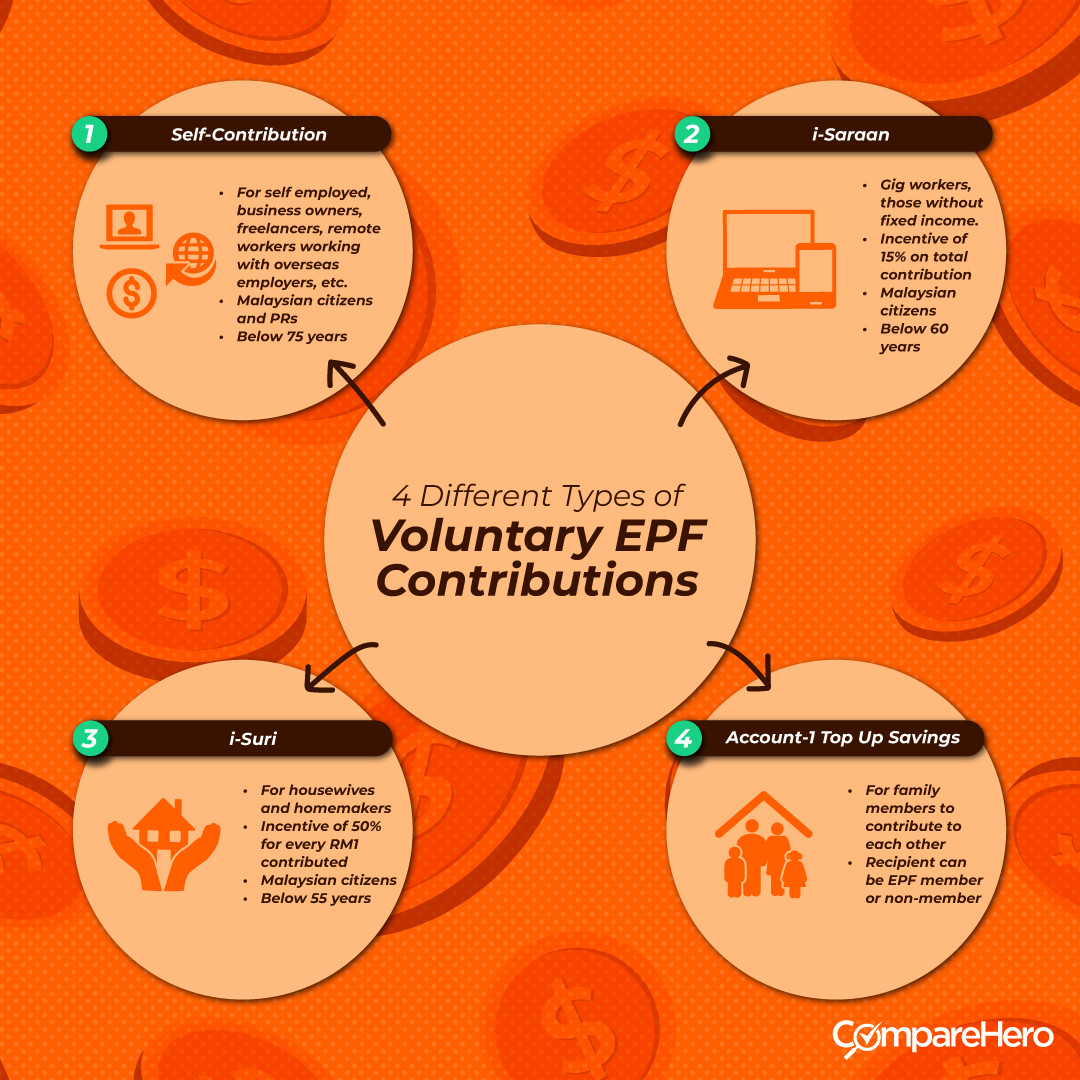 What_is_EPF_Voluntary_Contribution_and_How_Does_it_Work_-Infographic