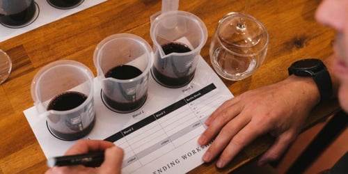 Wine tasting session guided by a sommelier at City Winery Brisbane