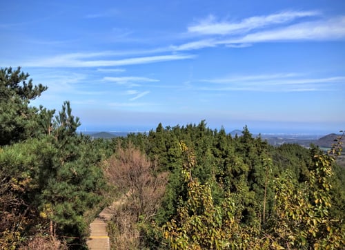 a serene view from a hilltop during the day in jeju island