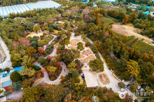 aerial view of heuree nature life park in jeju during the day