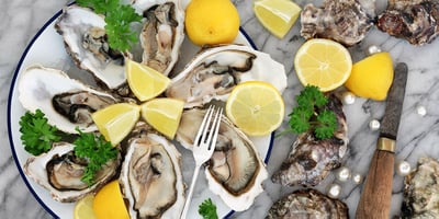 alva-dining-alva-house-oyster-2
