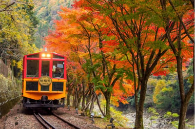 京都紅葉 嵐山小火車