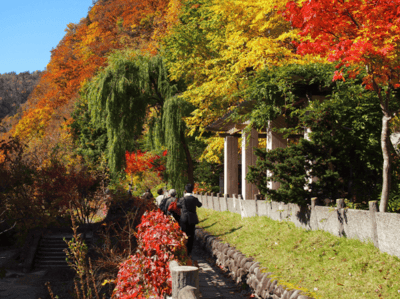 北海道紅葉景點 定山溪