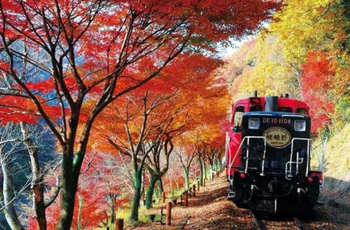 京都 嵐山小火車