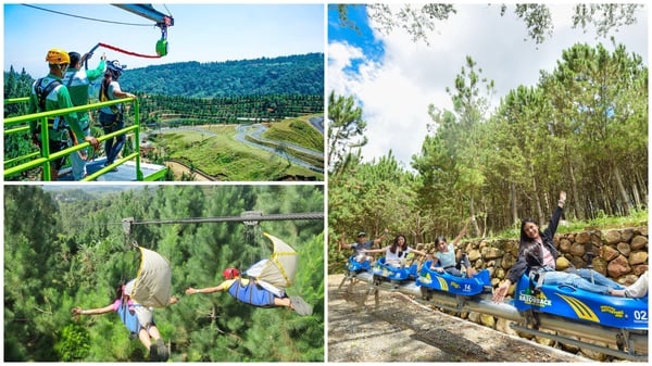 travel destinations in the philippines - dahilayan adventure park travel destinations in the philippines - dahilayan adventure park
