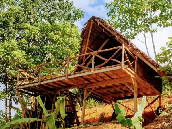 Airbnb Rooms - Barton Jungle Cottages