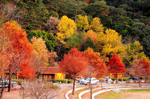 Travel Destinations for Ber Months - Taiwan best place to celebrate christmas - Taiwan